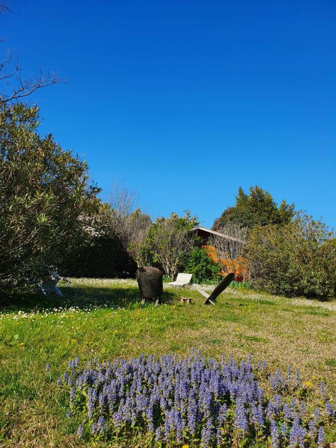 La Cabane Du Pesquier En Provence Caumont-sur-Durance Eksteriør bilde